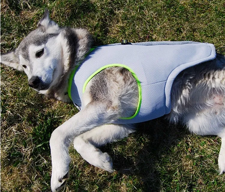 Cooling Vest