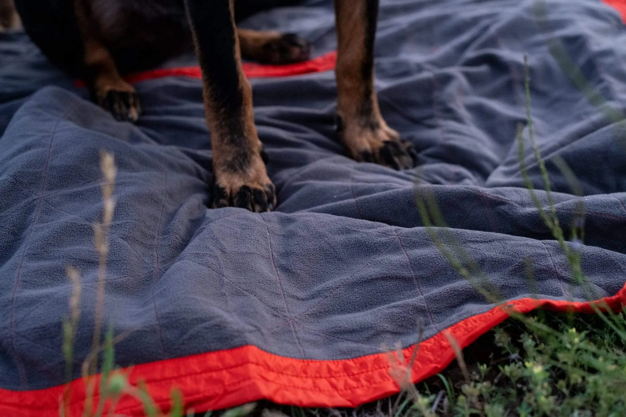 Field Blanket Jr.