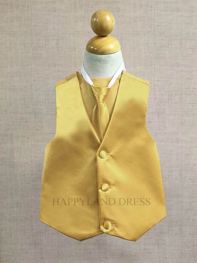 Gold Boy's Tie and Vest