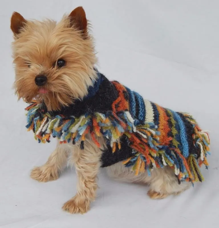 Striped Poncho With Fringes